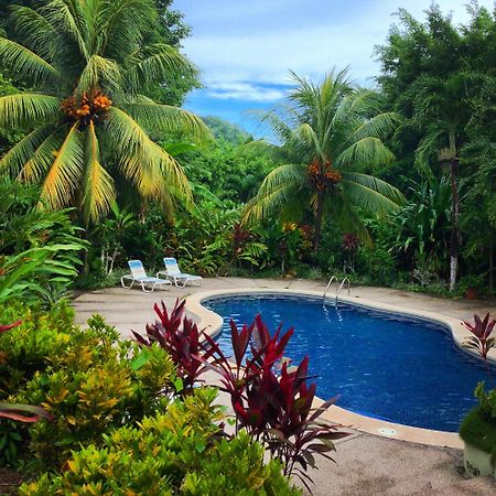 Star Mountain Jungle Lodge & Horse Ranch Malpais Exterior foto