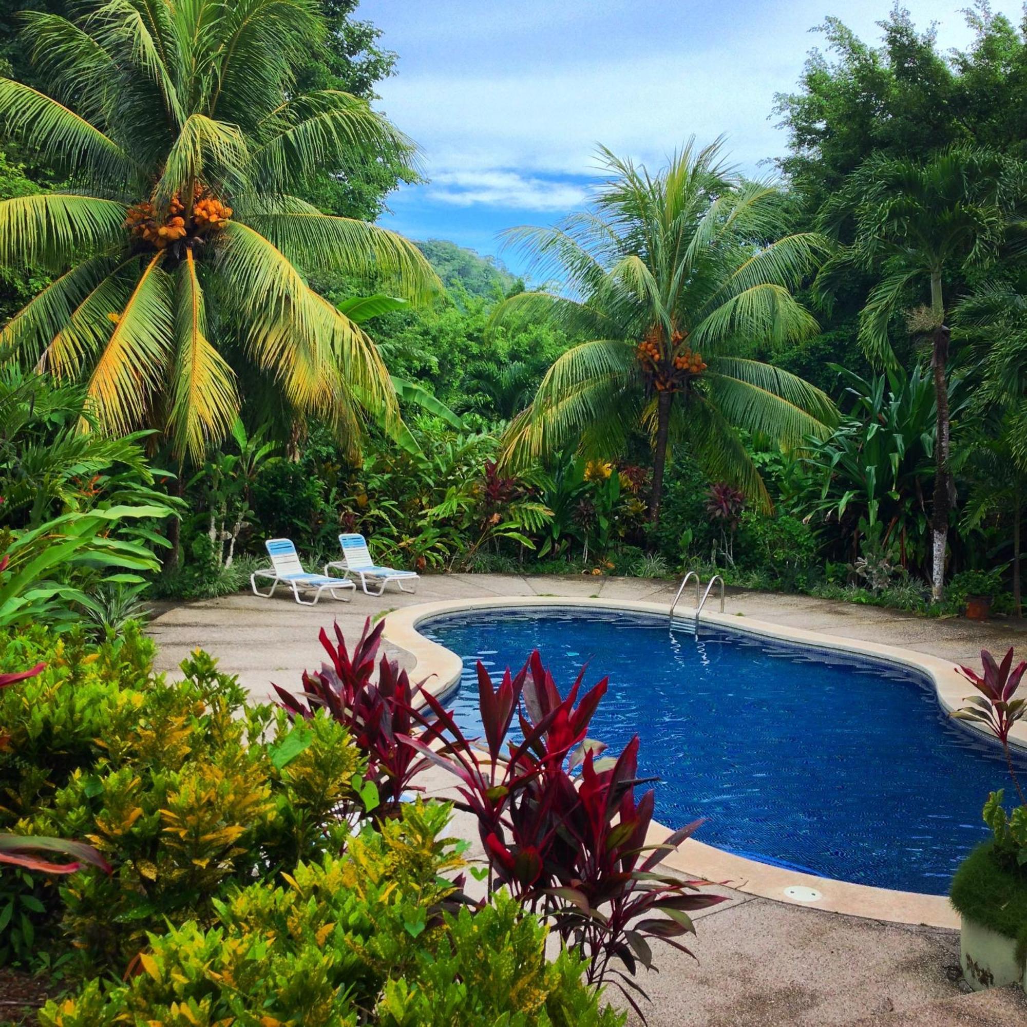 Star Mountain Jungle Lodge & Horse Ranch Malpais Exterior foto