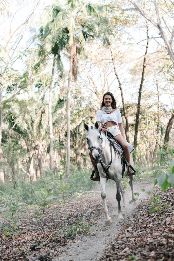 Star Mountain Jungle Lodge & Horse Ranch Malpais Exterior foto
