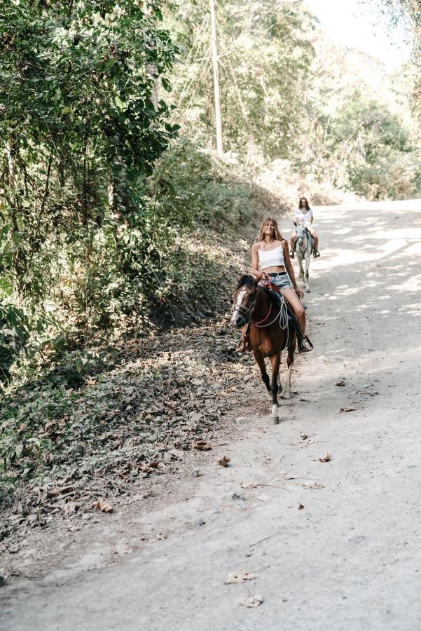 Star Mountain Jungle Lodge & Horse Ranch Malpais Exterior foto
