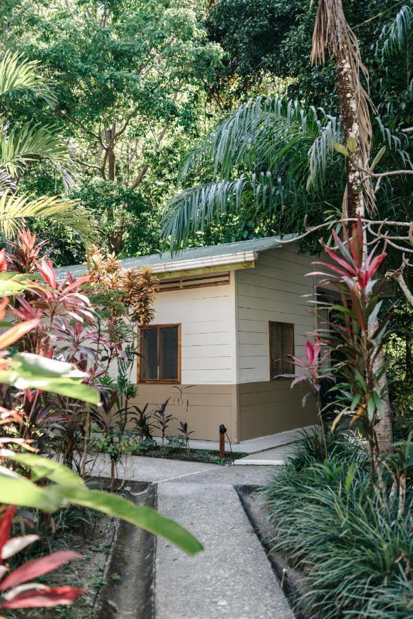 Star Mountain Jungle Lodge & Horse Ranch Malpais Exterior foto